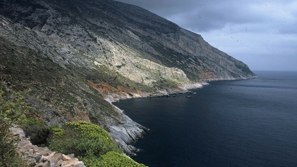 kavos malias